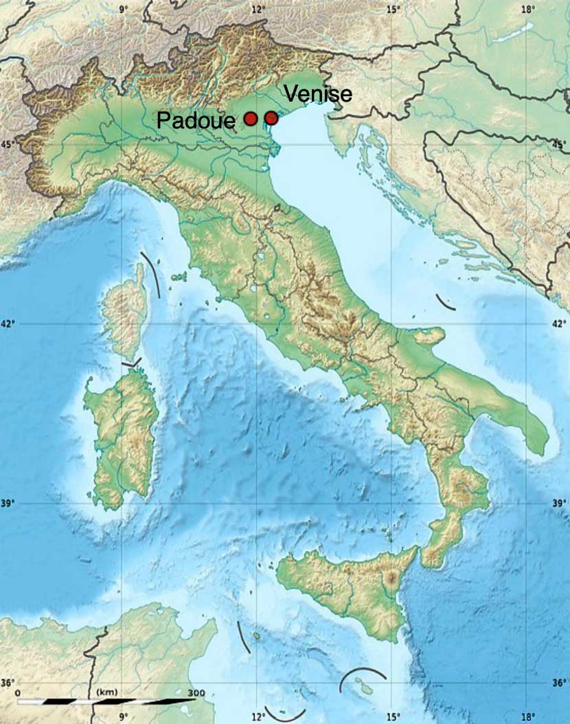 The Antenoridae are the people of Padua