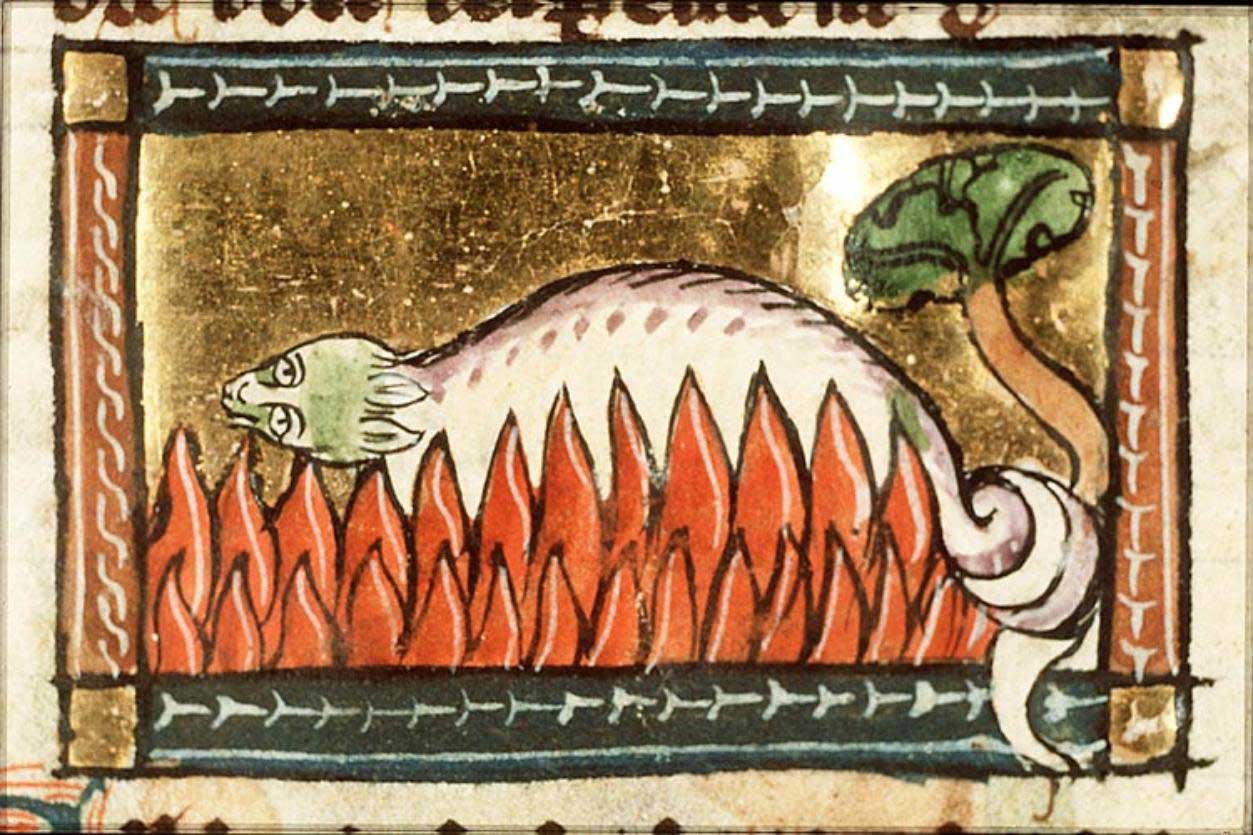 Salamander. van Maerlant, Der Naturen Bloeme (c. 1350)