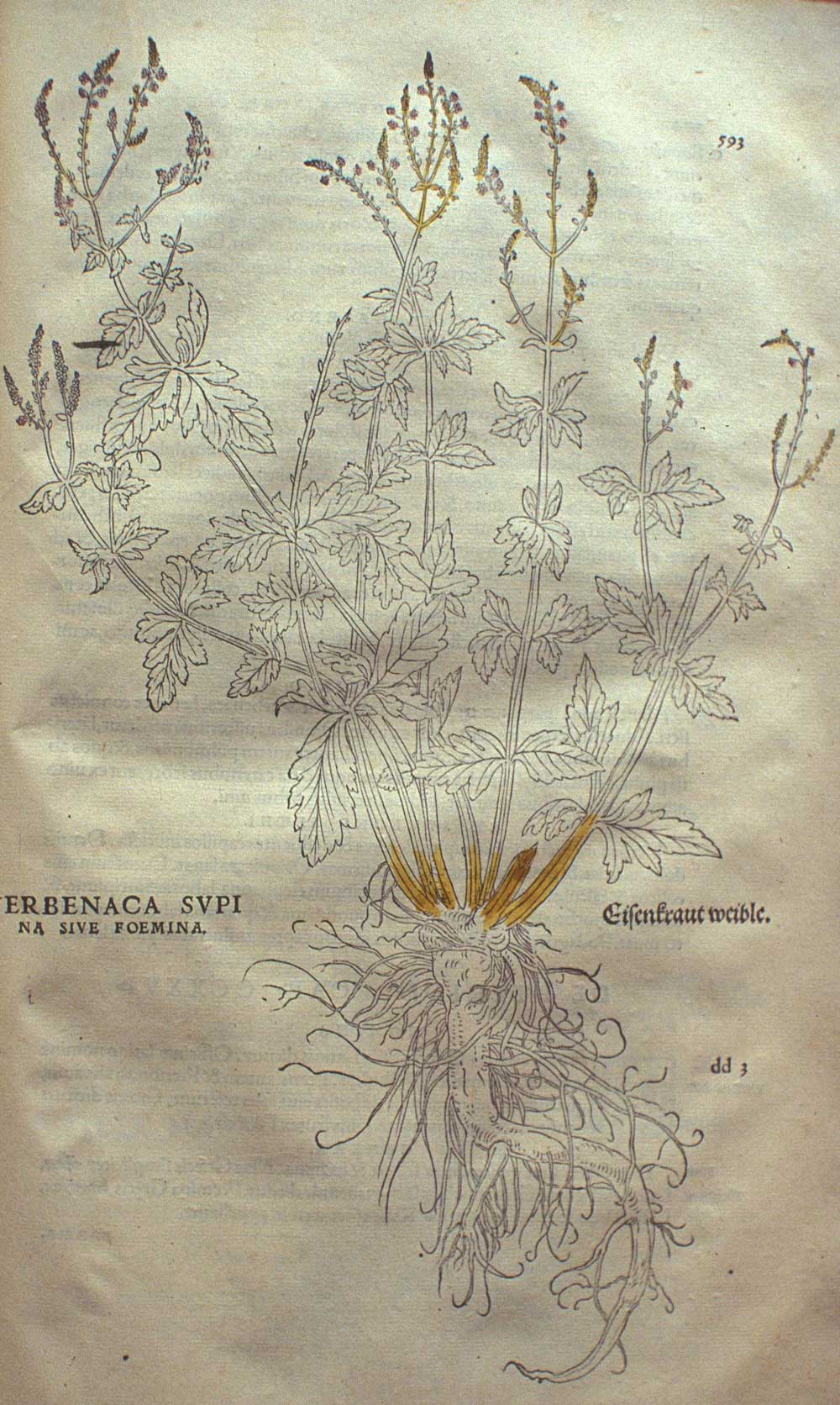 Le Livre Sacre D'Hermes Trismegiste Et Ses Trente-Six Herbes