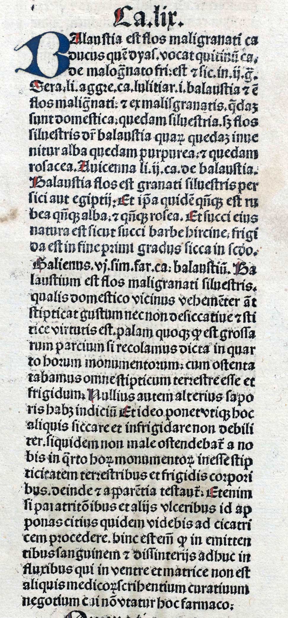 Balustgia (text). Ortus sanitatis (1491)