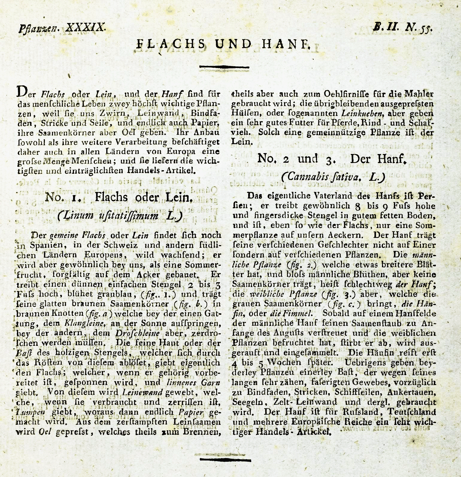 Bertuch, Bilderbuch für Kinder (1801)